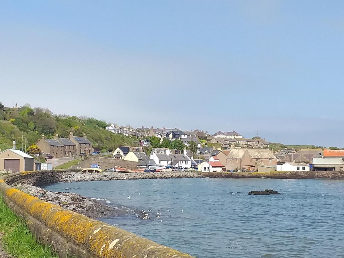 Coastal Cottage Inverbervie Zewnętrze zdjęcie